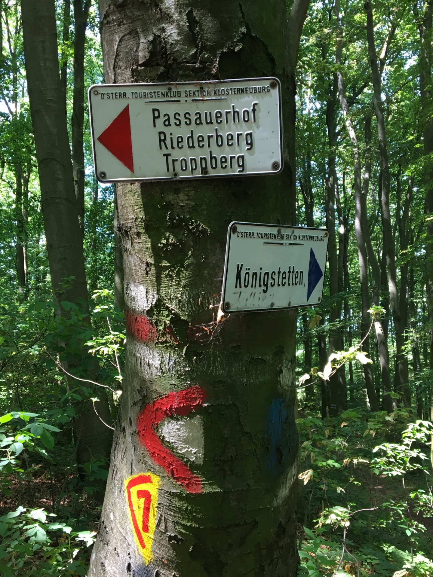 Austrian footpath signs